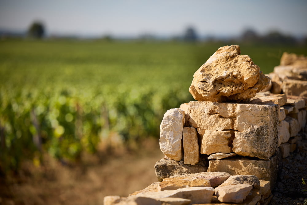 Beaune 1er Cru « Champs Pimont »
