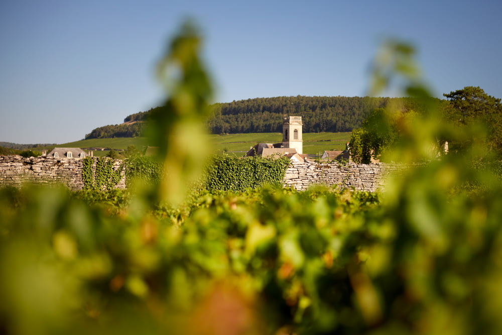 Pommard « Rue au Port »