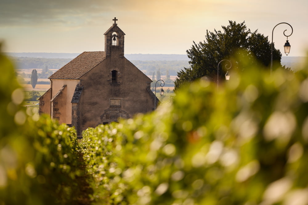 <p>Quelques</p><p>petites merveilles…</p>